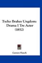 Tycho Brahes Ungdom