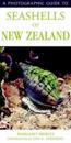 Photographic Guide To Seashells Of New Zealand