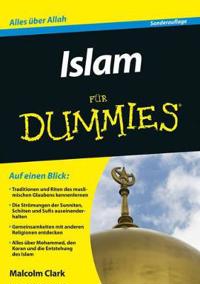 Islam fur Dummies