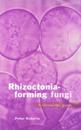 Rhizoctonia-forming Fungi