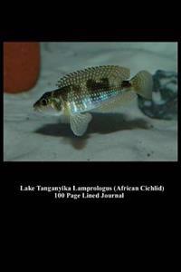 Lake Tanganyika Lamprologus (African Cichlid) 100 Page Lined Journal: Blank 100 Page Lined Journal for Your Thoughts, Ideas, and Inspiration