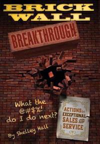 Brick Wall Breakthrough. What the @#$%! Do I Do Next?