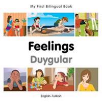 Feelings/ Duygular