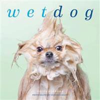Wet Dog 2016 Calendar