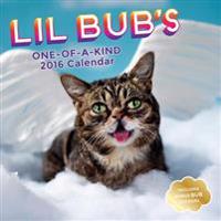 Lil Bub's One-of-A Kind 2016 Calendar