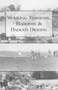 Working Terriers, Badgers and Badger Digging (History of Hunting Series)