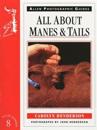 All About Manes and Tails