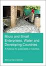 Micro and Small Enterprises, Water and Developing Countries