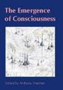 Emergence of Consciousness