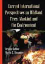 Current International Perspectives on Wildland Fires, Mankindthe Environment