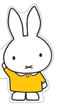 Miffy's Word Book