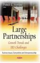 Large Partnerships
