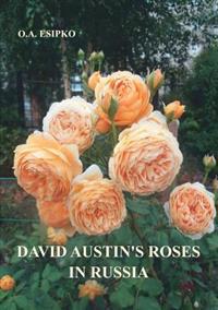 David Austin's Roses in Russia