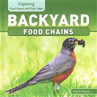 Backyard Food Chains
