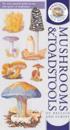 Kingfisher Field Guide to the Mushrooms and Toadstools of Britain and Europe