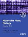 Molecular Plant Biology Vol 1