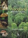 Portrait of a woodland - biodiversity in 40 acres