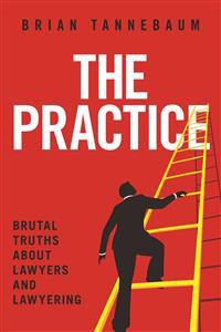 The Practice: Brutal Truths about Lawyers and Lawyering
