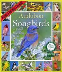 Audubon Songbirds & Other Backyard Birds Picture-a-Day 2016 Calendar