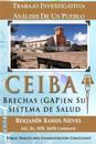 Ceiba: Análisis de Un Pueblo: Brechas (Gap) En Su Sistema de Salud