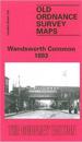 Wandsworth Common 1893