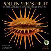 Pollen Seeds Fruit: The Weird & Wonderful Microscopic World of Plants