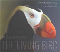 Living Bird: 100 Years of Listening to Nature
