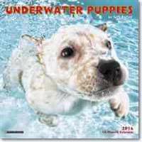 Underwater Puppies Mini Calendar