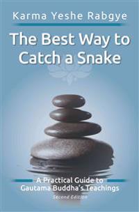 The Best Way to Catch a Snake: A Practical Guide to Gautama Buddha's Teachings