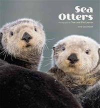 Sea Otters 2016 Calendar