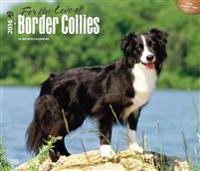 For the Love of Border Collies 2016 Calendar