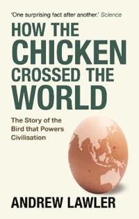 Why Did the Chicken Cross the World