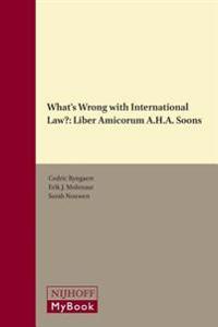 What's Wrong with International Law?: Liber Amicorum A.H.A. Soons