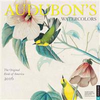 Audubon's Watercolors 2016 Wall Calendar: The Original Birds of America