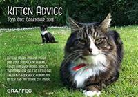 Kitten Advice 2016 Calendar
