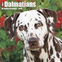 Dalmatians Calendar