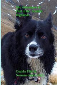 The Adventures of Flint in the Scottish Highlands.: A Mountain Dog's Life.