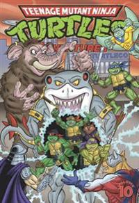 Teenage Mutant Ninja Turtles Adventures 10