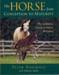 Horse from Concept to Maturity