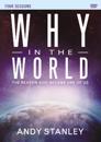 Why in the World Video Study