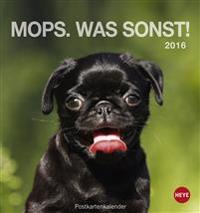 Mops 2016 Postkartenkalender