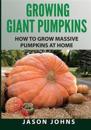 Growing Giant Pumpkins - How To Grow Massive Pumpkins At Home