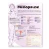 Understanding Menopause Anatomical Chart