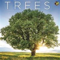 Trees Calendar