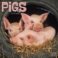 Pigs Calendar 2016