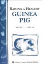 Raising a Healthy Guinea Pig