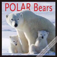 Polar Bears 2016 Calendar