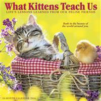 What Kittens Teach Calendar