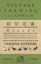 Duck Breeds - With Information on The White Aylesbury, The Rouen, The Muscovy and Other Breeds of Duck