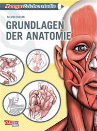 Manga-Zeichenstudio: Grundlagen der Anatomie